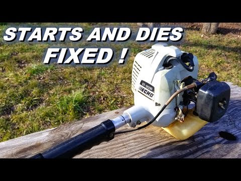 Weed Eater Starts Then Dies