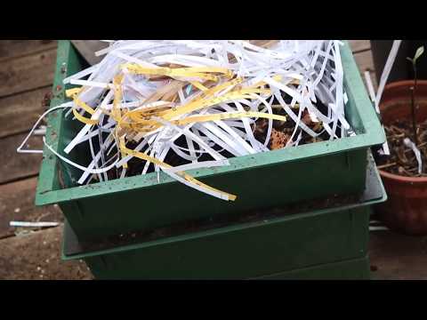 Maintaining your worm bin&#039;s pH