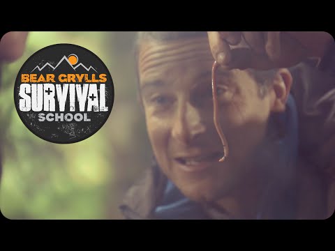 Bear Grylls Survival School: Eating Worms