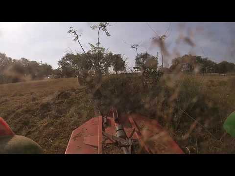6&#039; Kodiak Brush Hog Cutting 2 Inch Saplings