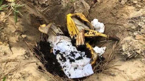 Dig And Drop Composting: A Passive Approach To Better Soil