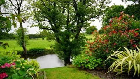 About Thriving Yard