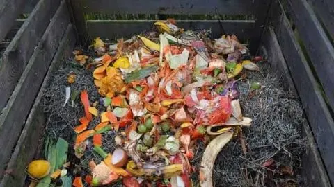 Can Compost Go Bad? Here&rsquo;s What You Need To Know