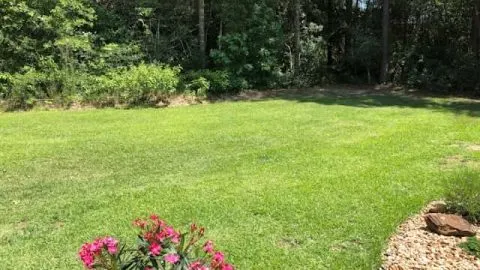 Will Centipede Grass Grow In Clay Soil?