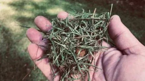 Make Free Compost With Grass Clippings And Other Yard Debris