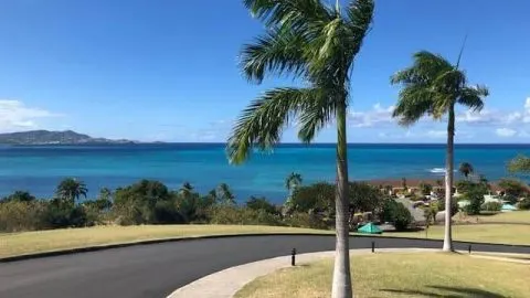 Planting A Palm Tree In Clay Soil: Proper Preparation Is Key