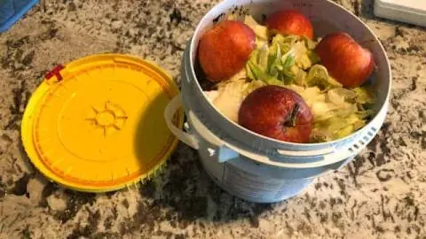 Is Composting Worth It? Key Insights And Considerations