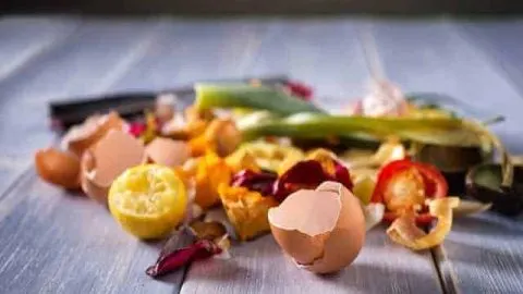 6 Alternatives To Composting Piles: Put Kitchen Waste To Use