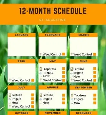 St. Augustine Lawn Care Fertilizer Schedule (Free Printable) – Thriving Yard St. Augustine Lawn Care Fertilizer Schedule (Free Printable) – Thriving Yard