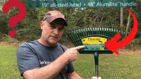 Can You Dethatch A Lawn With A Leaf Rake? Dethatching Options