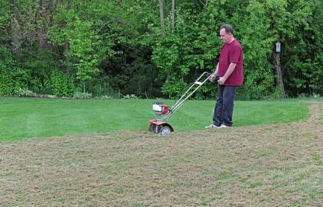 Options for cleaning up after dethatching your lawn.