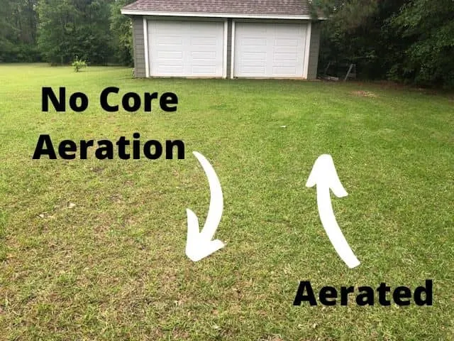 Does Lawn Aeration Really Work Side By Side Comparison Thriving Yard Does Lawn Aeration Really Work Side By Side Comparison Thriving Yard