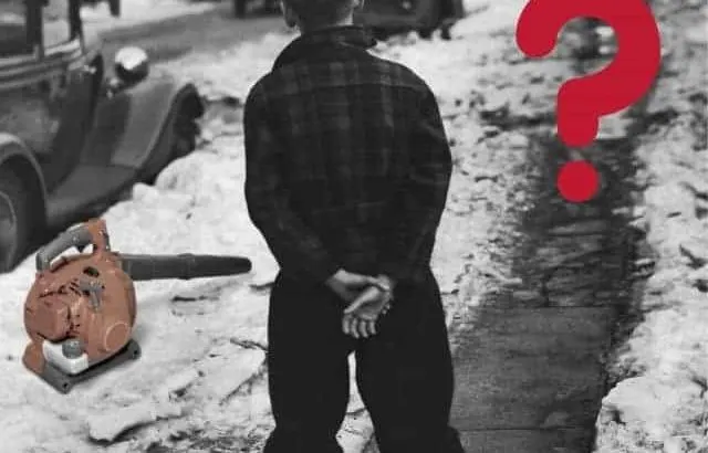 Using a leaf blower for snow or wet leaves