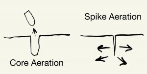 Aerator Core Vs Spike