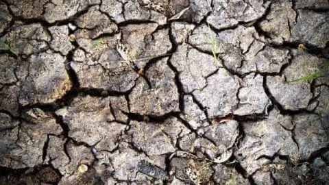 Does Soil Go Bad?