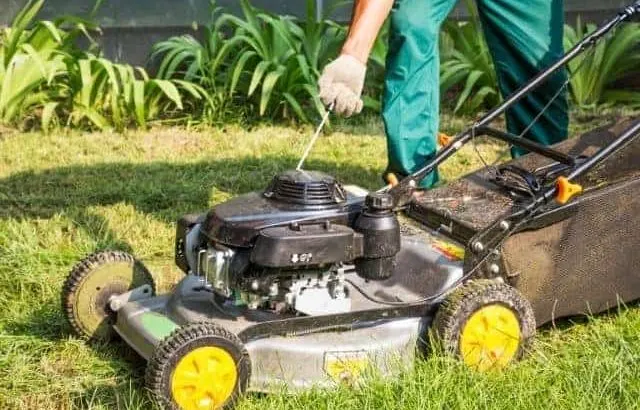 Pull cord stuck on small engine: common causes