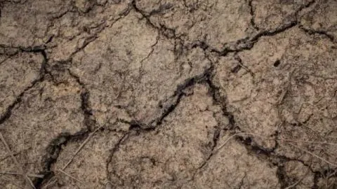Why Is My Soil Cracking? Understanding The True Cause