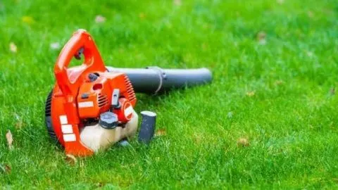 Leaf Blower Won’t Stay Running: Reasons and Solutions