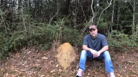 What is the Best Natural Fire Ant Killer?