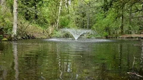 Pond Aerators: How They Work and Why You Need One