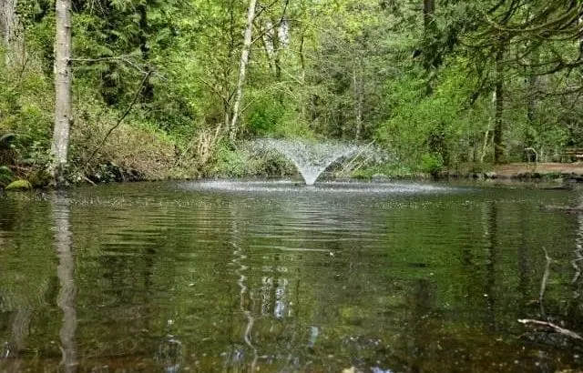 How pond aerators work and why you need one.