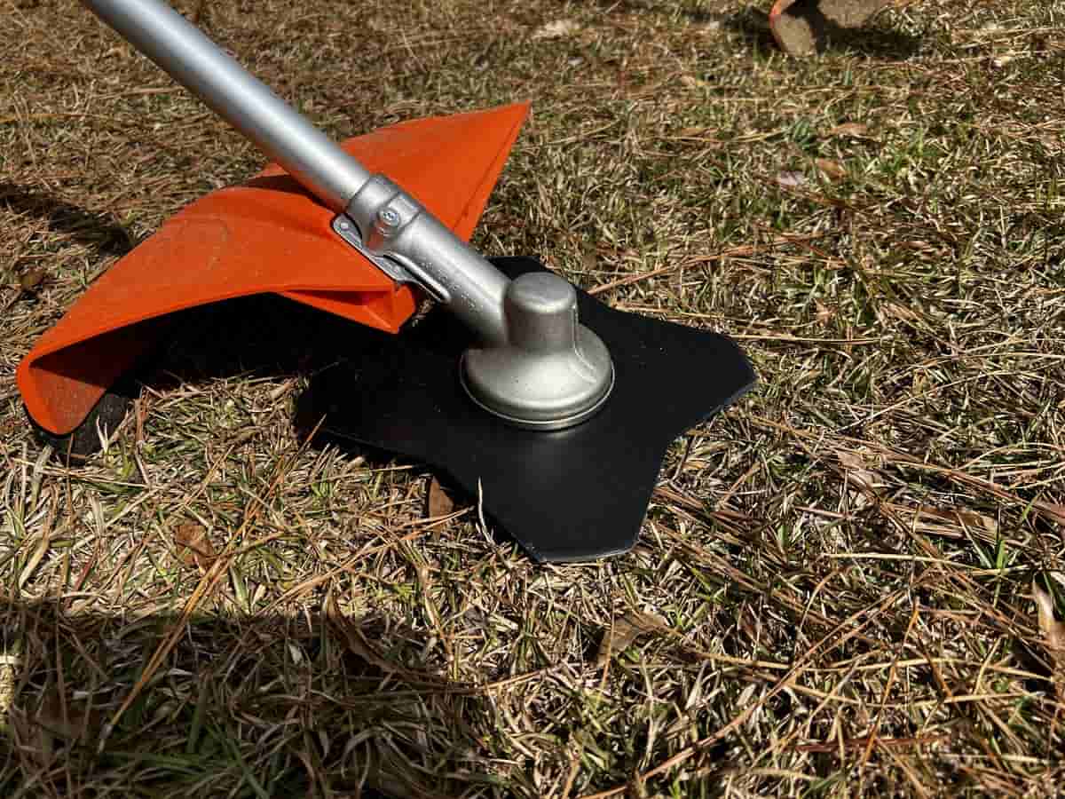 String Trimmer vs. Brush Cutter Different Tools for Different Jobs Thriving Yard