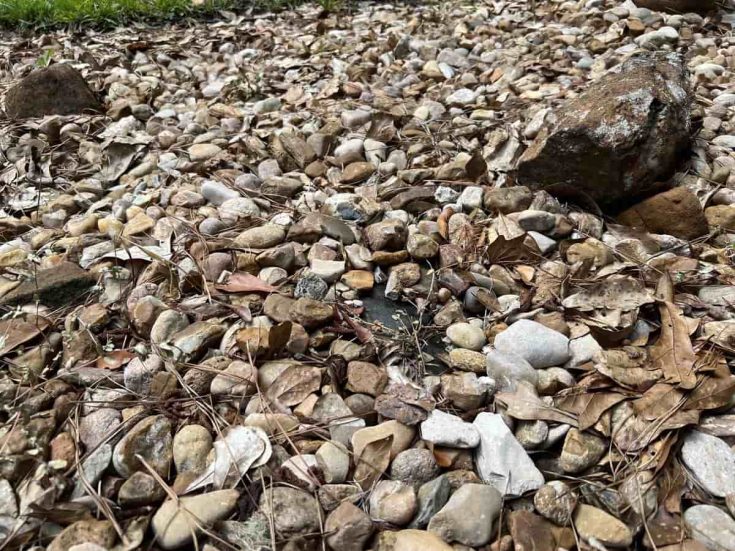 Landscaping Material Under Rocks Do You Always Need Landscaping Fabric Under Rocks? – Thriving Yard
