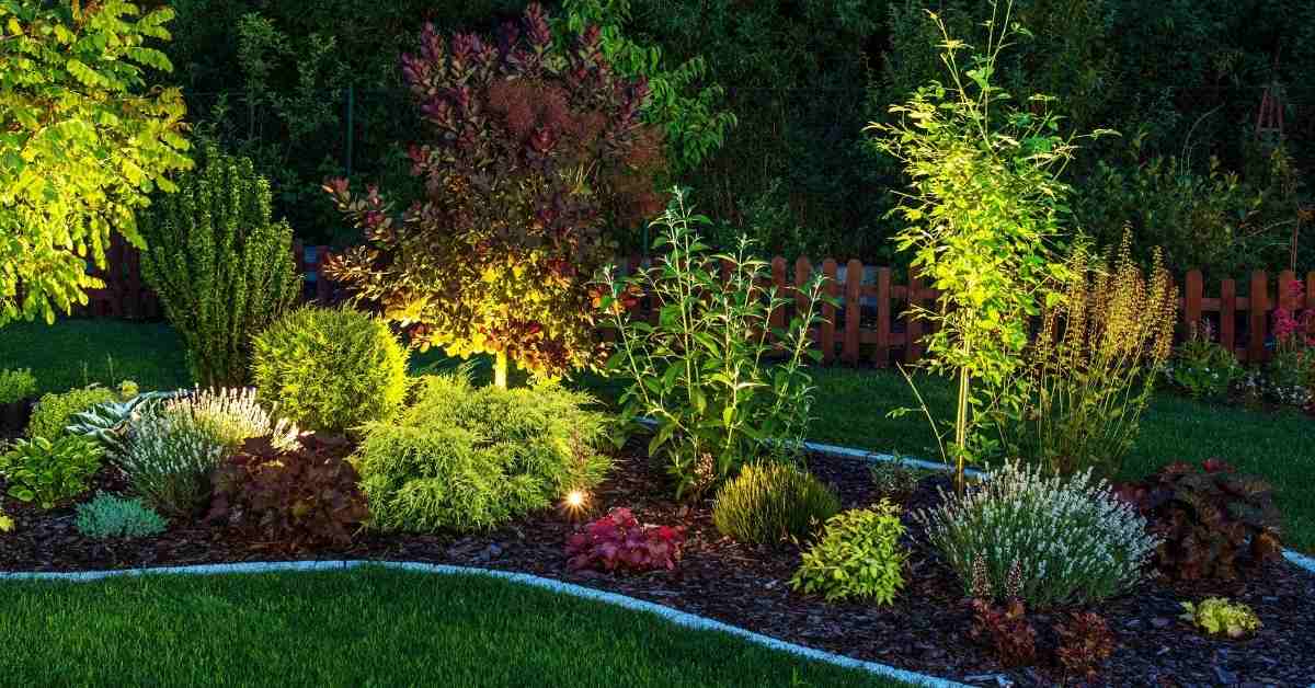 How To Fix Dim Landscape Lights Guide) Thriving Yard