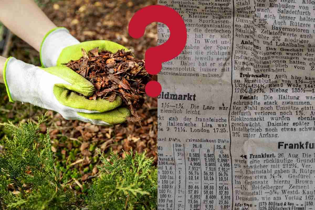 How Long Does Newspaper Take To Under Mulch? Thriving Yard