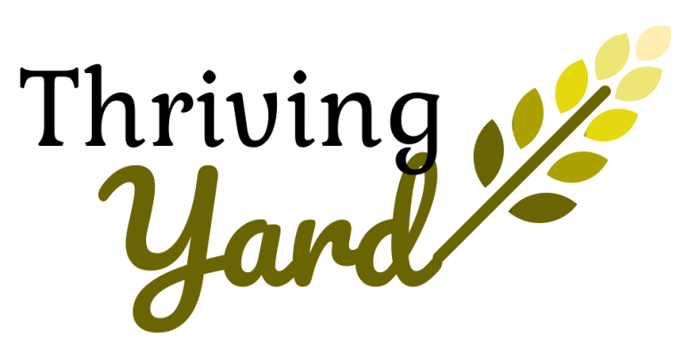 Discover Why Zoysia Is the Ultimate Choice for a Thriving, Low-Maintenance Outdoor Oasis