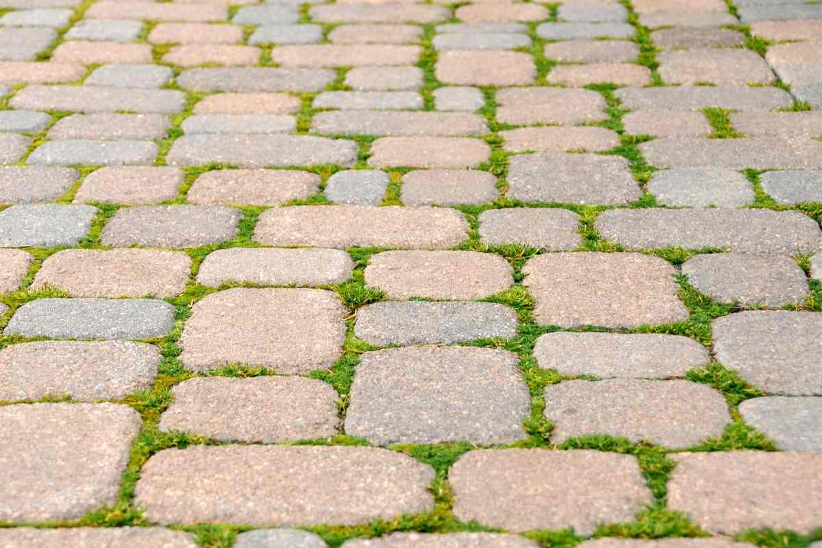 Can You Mow Over Pavers? What You Need to Know Thriving Yard