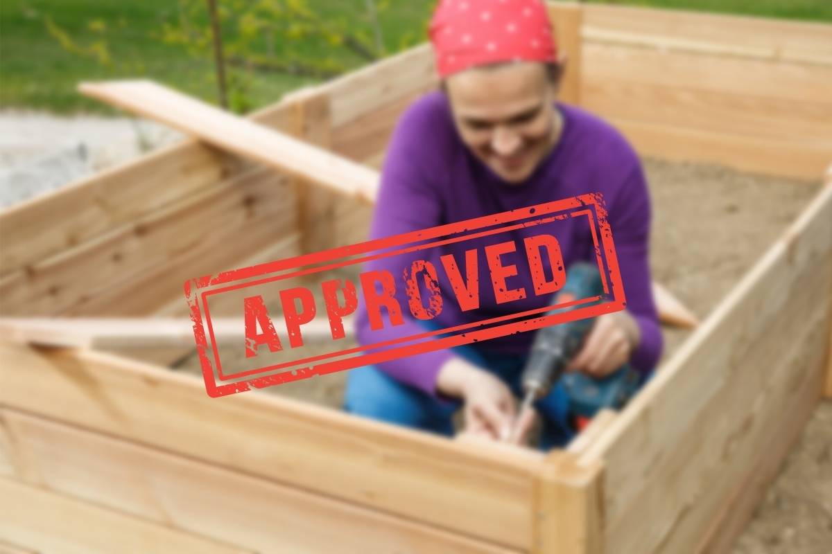 Do You Need a Permit To Build a Raised Garden Bed? Thriving Yard