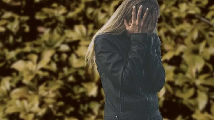 Pachysandra Turning Yellow and Dying? Here&rsquo;s Why