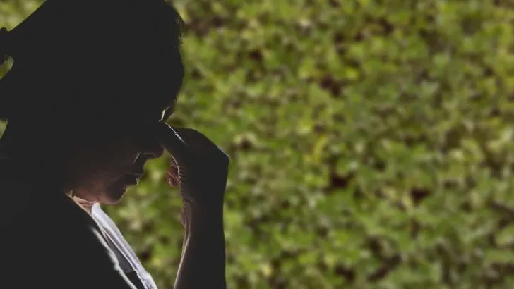 Why Is Your Green Velvet Boxwood Turning Brown?