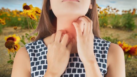 Do Blanket Flowers Make You Itch? – Thriving Yard