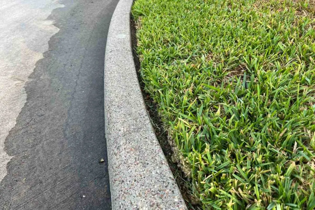 Is Professional Lawn Care Worth It I Paid A Pro To Mow My Lawn 